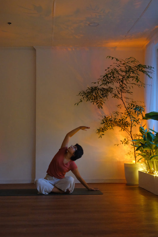 Sep 29, Tue | Vinyasa