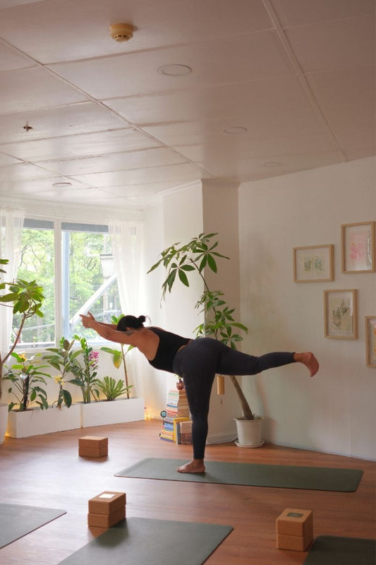 Oct 25, Sun | Beginner Vinyasa